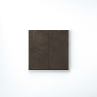 SENSI TERRE CARBONE NATURALE MODULO LISTELLO 30X30