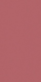 ARCH.PURPLE