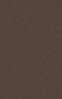 ARCH.LIGHT BROWN