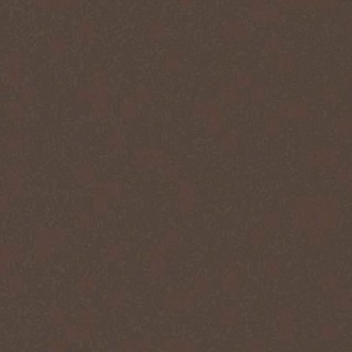 ARCH.LIGHT BROWN