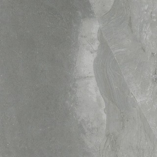 FOSSIL