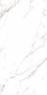 STATUARIO GRIGIO LUCIDO B