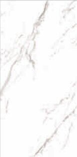 STATUARIO GRIGIO LUCIDO C