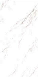 STATUARIO GRIGIO LUCIDO D