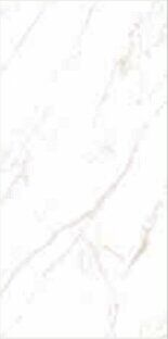 STATUARIO ORO LUCIDO A