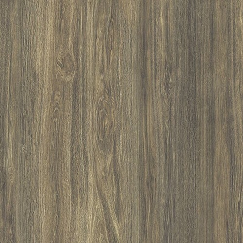 PLANKS MUSCHIO