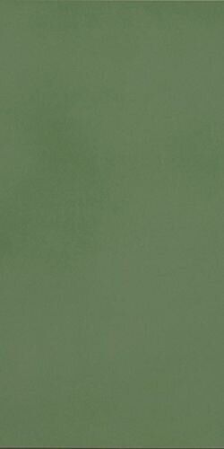 R-EVOLUTION GREEN