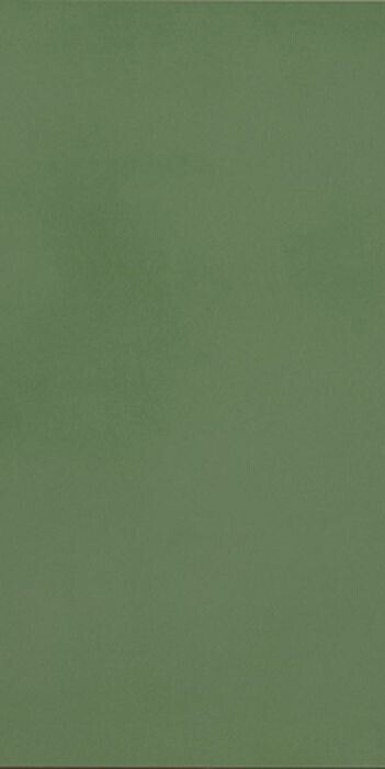 R-EVOLUTION GREEN ANTIBACTERIA