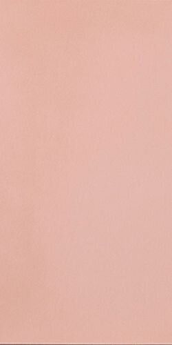 R-EVOLUTION LIGHT PINK R10 10M