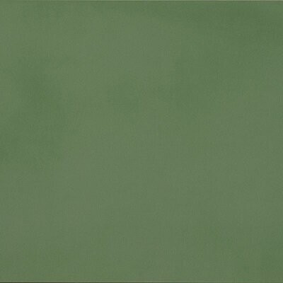 R-EVOLUTION GREEN