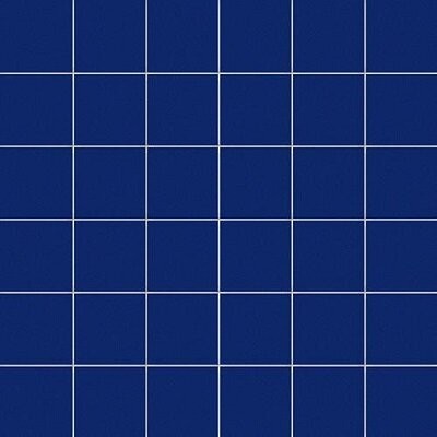 1X1 NEON / RETE