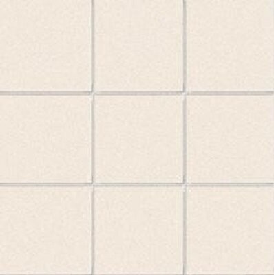 10X10 SODIO F.B. RETE