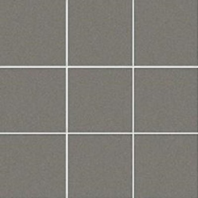 10X10 XENO F.B. RETE