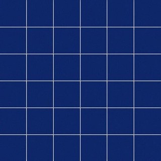 5X5 NEON / RETE