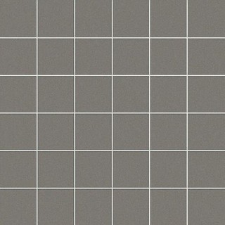 5X5 XENO / RETE