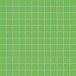 2,5 X2,5 KIWI SU RETE