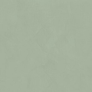 POLICROMA LICHENE MAT 6MM 120X120 RET