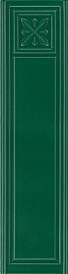 MEDICI 20X80 BOTTLE C.