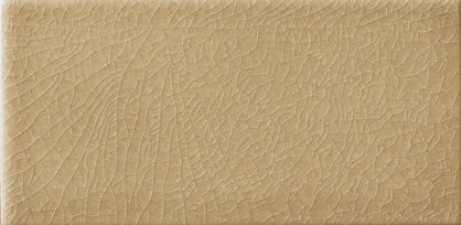 10X20 NOIX CR.