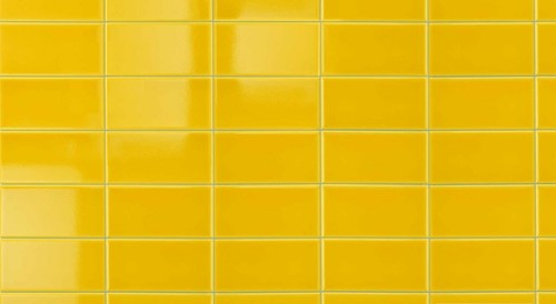 GIALLO PANTOGIA 10X10