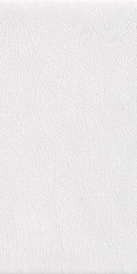 SARDINIA BIANCO PLAYA20X40
