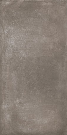 Forest (60107) 50x100 Керамогранит