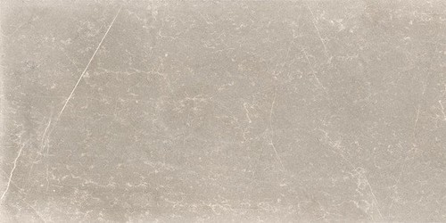 Silver (65286) 60x120 Керамогранит