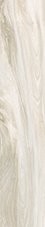 Savanna Milk Rettificato (60954) 20x100