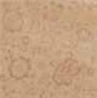Decoro Fleurs Beige (48900) 20x20 Керамогранит
