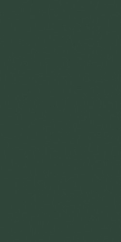 CRAYONS CERIM MOSS NAT 6MM 120X120R