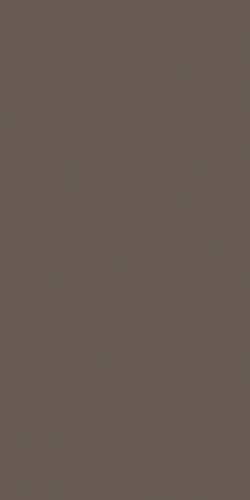 CRAYONS CERIM HAZELNUT NAT 6MM 60X120R