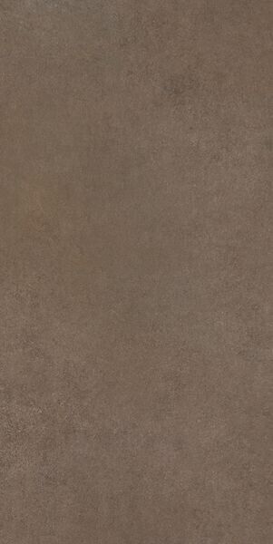 EASY LIFE MUSHROOM MATTE 60x120 RET