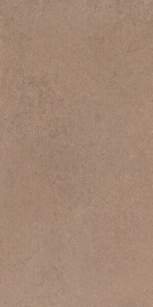 EASY LIFE BARLEY MATTE 30X60 RET