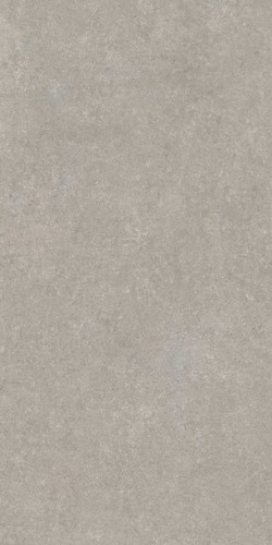 ELEMEN.ST.GREY SANDSTONE NAT 60X120 RET