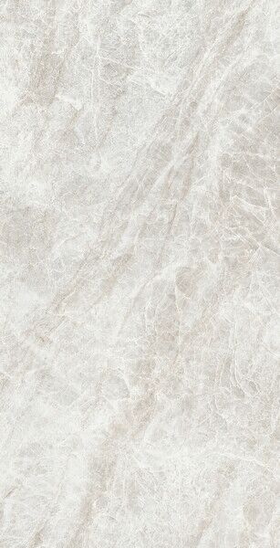 ICONIC LIFE RICE YAMUNA SILK 6MM 60X120 R
