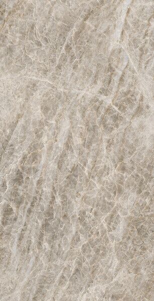ICONIC LIFE OPAL YAMUNA SILK 6MM 60X120 R
