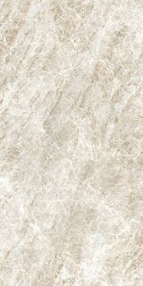 ICONIC LIFE HONEY YAMUNA MATTE 60x120 RET
