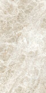 ICONIC LIFE HONEY YAMUNA MATTE 30x60 RET
