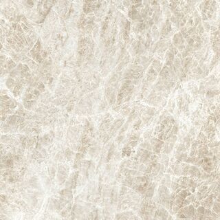 ICONIC LIFE HONEY YAMUNA GLOSSY 60x60 RET