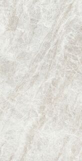 ICONIC LIFE RICE YAMUNA SILK 6MM 60X120 R