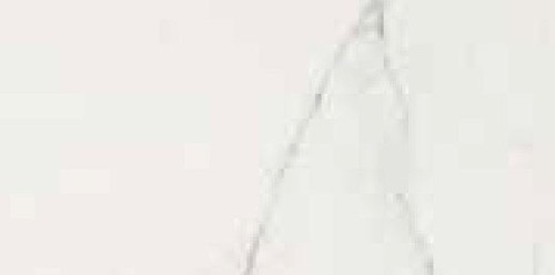 TIMELESS CALACATTA NAT 30X60 RET