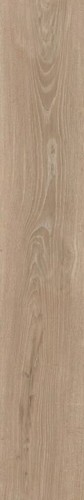 WOODSLATE LIFE CHAMPAGN MATT 20X120 RET