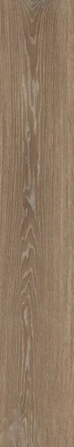 WOODSLATE LIFE NUTMEG MATT 20X120 RET