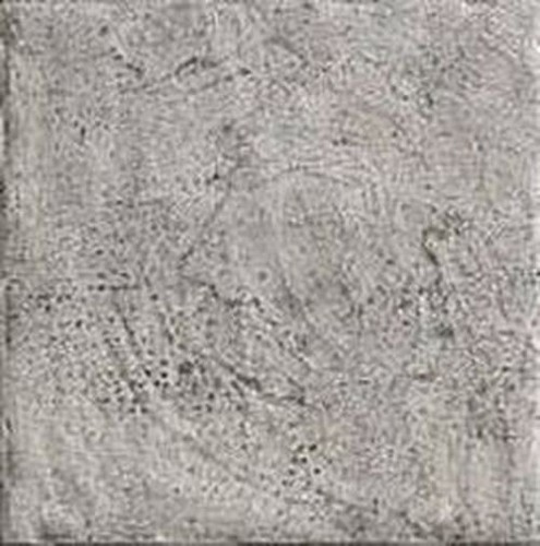 BIARR,CENDRE R11 20X20