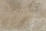 TERRA D'ORMEGGIO RA 40X60,8