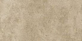 NATURAL 20X40