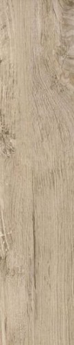 FI1 PLUS 20X80