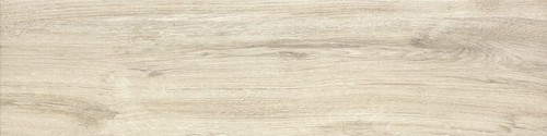 FI10 PLUS 20X80 8,5 MM