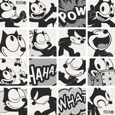 FELIX CATISBACK 20X20
