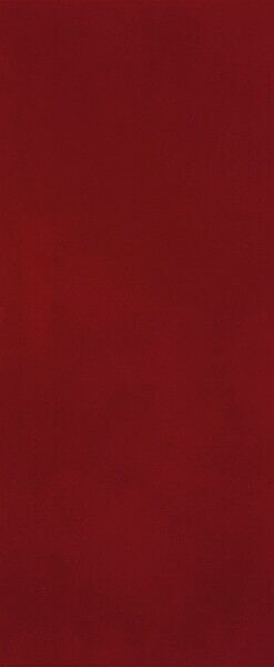 MATERIA BRILLANTE 50X120 BORGOGNA BRILLANTE